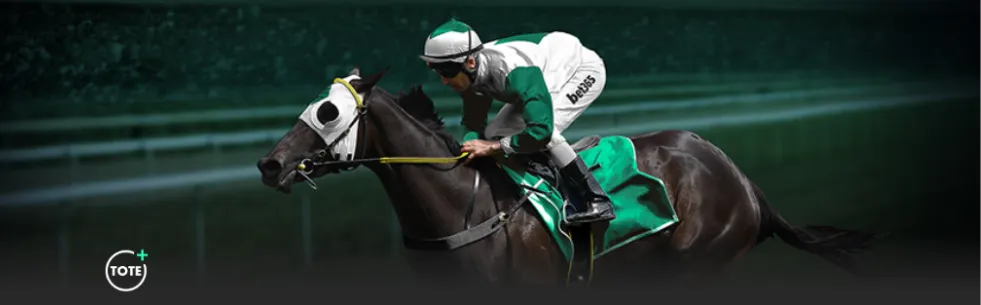 南通海门至,上海跨江直,航实现,新葡京,新葡京app,新葡京娱乐,新普京赌场