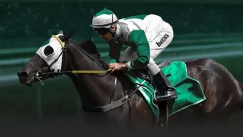 南通海门至上海跨江直航实现，通勤时间缩减至40分钟